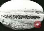 Immagine di Afta epizootica United States USA, 1925, secondo 26 filmato di repertorio 65675022112