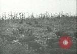 Immagine di Afta epizootica United States USA, 1925, secondo 29 filmato di repertorio 65675022112