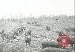 Immagine di Afta epizootica United States USA, 1925, secondo 31 filmato di repertorio 65675022112