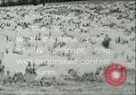 Immagine di Afta epizootica United States USA, 1925, secondo 55 filmato di repertorio 65675022112