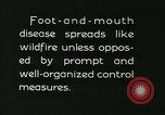 Immagine di Afta epizootica United States USA, 1925, secondo 56 filmato di repertorio 65675022112