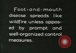 Immagine di Afta epizootica United States USA, 1925, secondo 57 filmato di repertorio 65675022112