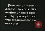 Immagine di Afta epizootica United States USA, 1925, secondo 58 filmato di repertorio 65675022112