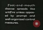 Immagine di Afta epizootica United States USA, 1925, secondo 59 filmato di repertorio 65675022112