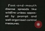 Immagine di Afta epizootica United States USA, 1925, secondo 61 filmato di repertorio 65675022112