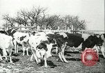 Image of foot and mouth disease United States USA, 1925, second 35 stock footage video 65675022113