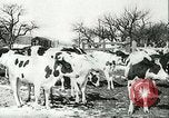 Image of foot and mouth disease United States USA, 1925, second 39 stock footage video 65675022113