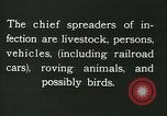 Image of foot and mouth disease United States USA, 1925, second 42 stock footage video 65675022113