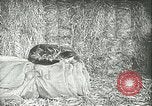 Image of foot and mouth disease United States USA, 1925, second 56 stock footage video 65675022113