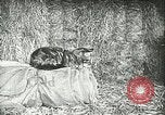 Image of foot and mouth disease United States USA, 1925, second 57 stock footage video 65675022113