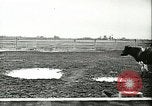 Image of foot and mouth disease United States USA, 1925, second 59 stock footage video 65675022113