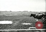 Image of foot and mouth disease United States USA, 1925, second 60 stock footage video 65675022113
