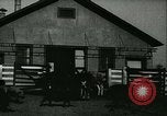 Image la fièvre aphteuse United States USA, 1925, de la seconde 13 séquences d'archives historiques vidéo 65675022114