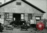 Image la fièvre aphteuse United States USA, 1925, de la seconde 14 séquences d'archives historiques vidéo 65675022114
