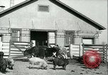 Image la fièvre aphteuse United States USA, 1925, de la seconde 15 séquences d'archives historiques vidéo 65675022114