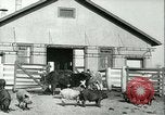 Image la fièvre aphteuse United States USA, 1925, de la seconde 16 séquences d'archives historiques vidéo 65675022114