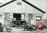 Image la fièvre aphteuse United States USA, 1925, de la seconde 18 séquences d'archives historiques vidéo 65675022114