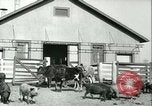 Image la fièvre aphteuse United States USA, 1925, de la seconde 19 séquences d'archives historiques vidéo 65675022114