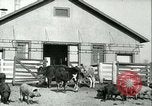 Image la fièvre aphteuse United States USA, 1925, de la seconde 20 séquences d'archives historiques vidéo 65675022114