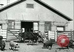 Image la fièvre aphteuse United States USA, 1925, de la seconde 21 séquences d'archives historiques vidéo 65675022114