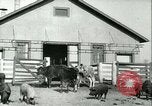 Image la fièvre aphteuse United States USA, 1925, de la seconde 22 séquences d'archives historiques vidéo 65675022114