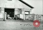 Image la fièvre aphteuse United States USA, 1925, de la seconde 48 séquences d'archives historiques vidéo 65675022114