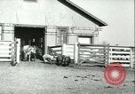 Image la fièvre aphteuse United States USA, 1925, de la seconde 50 séquences d'archives historiques vidéo 65675022114