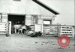Image la fièvre aphteuse United States USA, 1925, de la seconde 51 séquences d'archives historiques vidéo 65675022114