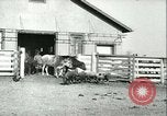 Image la fièvre aphteuse United States USA, 1925, de la seconde 52 séquences d'archives historiques vidéo 65675022114