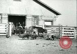 Image la fièvre aphteuse United States USA, 1925, de la seconde 53 séquences d'archives historiques vidéo 65675022114