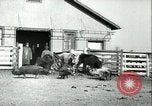 Image la fièvre aphteuse United States USA, 1925, de la seconde 54 séquences d'archives historiques vidéo 65675022114