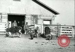 Image la fièvre aphteuse United States USA, 1925, de la seconde 55 séquences d'archives historiques vidéo 65675022114