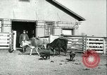 Image la fièvre aphteuse United States USA, 1925, de la seconde 57 séquences d'archives historiques vidéo 65675022114