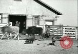 Image la fièvre aphteuse United States USA, 1925, de la seconde 58 séquences d'archives historiques vidéo 65675022114
