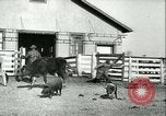 Image la fièvre aphteuse United States USA, 1925, de la seconde 59 séquences d'archives historiques vidéo 65675022114