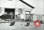Image la fièvre aphteuse United States USA, 1925, de la seconde 60 séquences d'archives historiques vidéo 65675022114