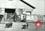 Image la fièvre aphteuse United States USA, 1925, de la seconde 62 séquences d'archives historiques vidéo 65675022114