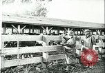 Image la fièvre aphteuse California United States USA, 1925, de la seconde 26 séquences d'archives historiques vidéo 65675022115