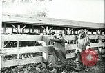 Image la fièvre aphteuse California United States USA, 1925, de la seconde 27 séquences d'archives historiques vidéo 65675022115
