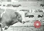 Image la fièvre aphteuse California United States USA, 1925, de la seconde 32 séquences d'archives historiques vidéo 65675022115