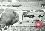 Image la fièvre aphteuse California United States USA, 1925, de la seconde 33 séquences d'archives historiques vidéo 65675022115