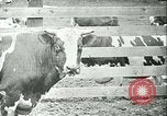Image la fièvre aphteuse California United States USA, 1925, de la seconde 34 séquences d'archives historiques vidéo 65675022115