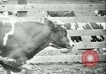 Image la fièvre aphteuse California United States USA, 1925, de la seconde 37 séquences d'archives historiques vidéo 65675022115