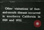 Image la fièvre aphteuse United States USA, 1925, de la seconde 40 séquences d'archives historiques vidéo 65675022116