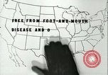Image la fièvre aphteuse United States USA, 1925, de la seconde 28 séquences d'archives historiques vidéo 65675022117