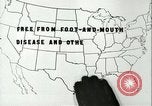 Image la fièvre aphteuse United States USA, 1925, de la seconde 30 séquences d'archives historiques vidéo 65675022117