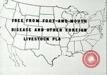 Image la fièvre aphteuse United States USA, 1925, de la seconde 44 séquences d'archives historiques vidéo 65675022117