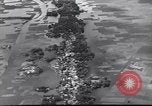 Image of Iskander Mirza Pakistan, 1956, second 19 stock footage video 65675022128