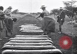 Standbild Suez Canal Ägypten, 1935, aus Sekunde 48 historischem Filmmaterial Videoclip 65675022142
