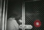 Standbild Rosenberger verurteilt United States USA, 1951, aus Sekunde 15 historischem Filmmaterial Videoclip 65675022171
